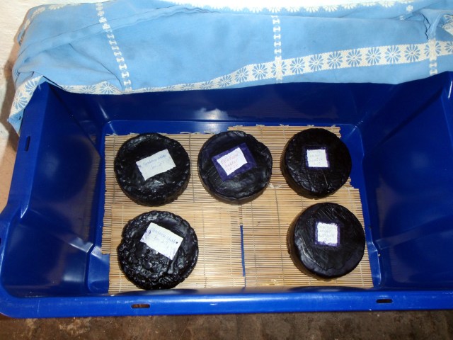 Cheese rounds in storage