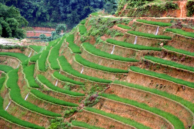 Irrigation by gravity